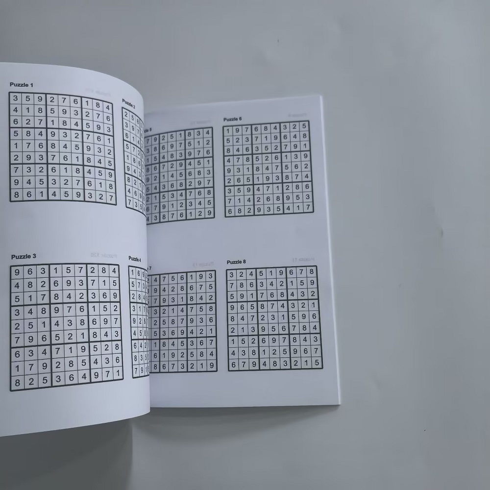 2026 English Sudoku Game Book  - Party Games New Year 评论和价格