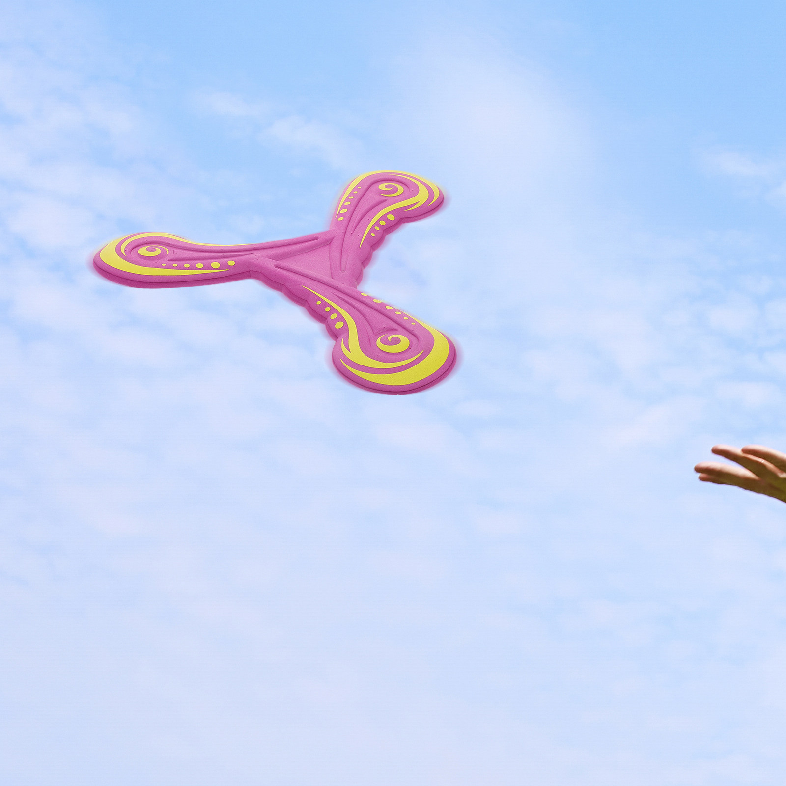 Outdoor Boomerang for Kids Sof - Party Games Easy Kids 评论和价格